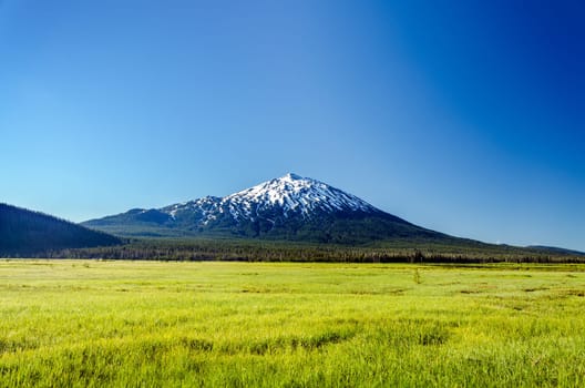 Snowy Mount Bachelor rising above a lush green meadow near Bend, Oregon