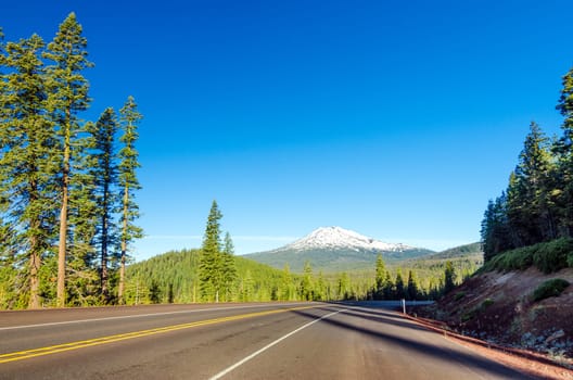 Highway leading through a lush green forest to Mt. Bachelor near Bend, Oregon