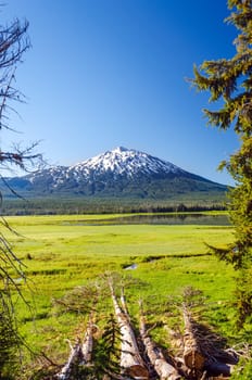 Mount Bachelor as seen through a clearing of trees near Bend, Oregon