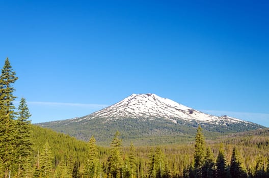 Early summer view of Mt. Bachelor with a beautiful green forest below it.