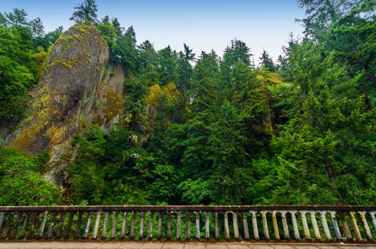 Cliffs and lush green forest towering above railing of historic Highway 30 in the Columbia River Gorge in Oregon