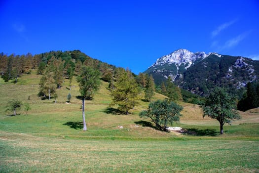 View of Tolminska Migovec mountain, Slovenia
