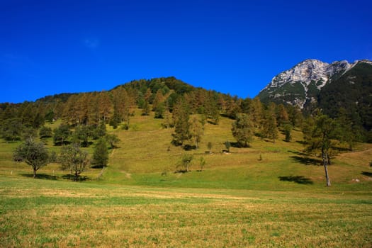 View of Tolminska Migovec mountain, Slovenia