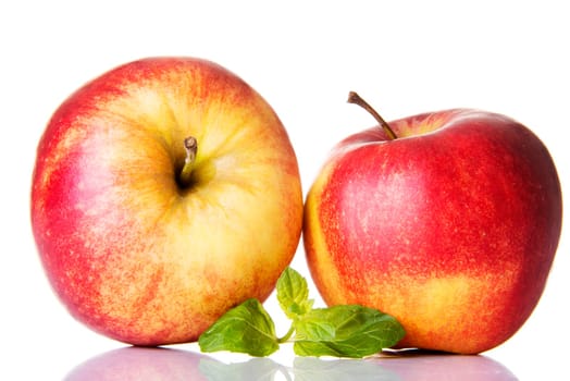 apples with mint,isolated on white background