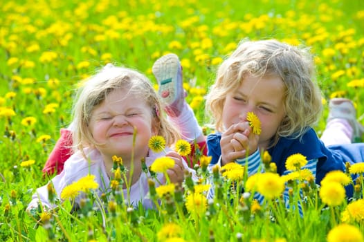 two girls in a spring field