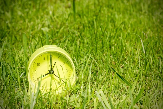 Alarm clock  in grass on the morning of a bright sunny day