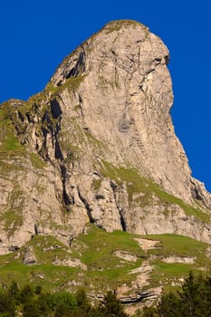 The stallion an impressive summit