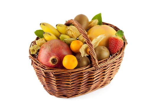 Fruit