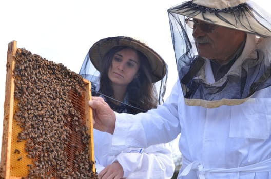 two beekeepers in apiary