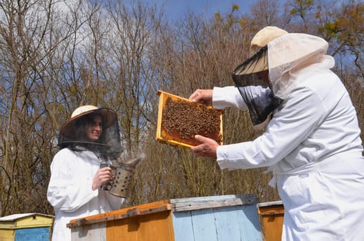 two beekeepers in apiary