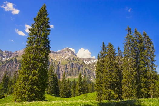 On the Pragelpass