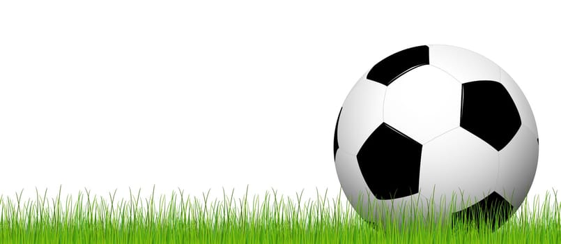 Football is on the grass