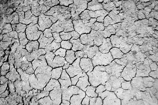 Background of cracked and dusty grey soil