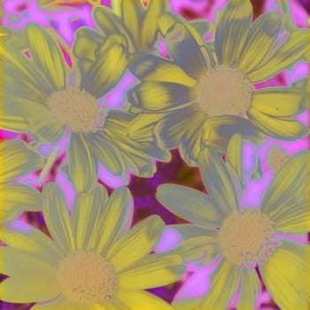 Closeup shot of blooming garden flower bed