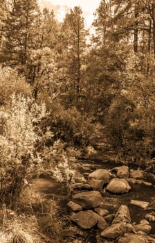 Vintage look pictures of Jemez River in New Mexico