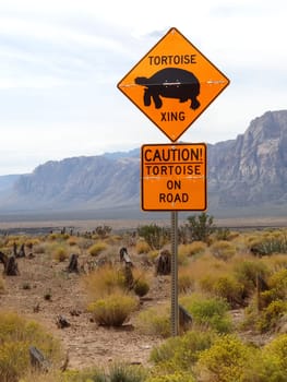 Sign tortoise crossing in desert of Nevada
