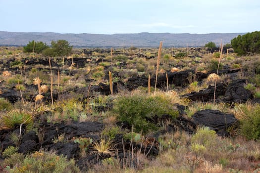 Impressive and scenic landscape in New Mexico
