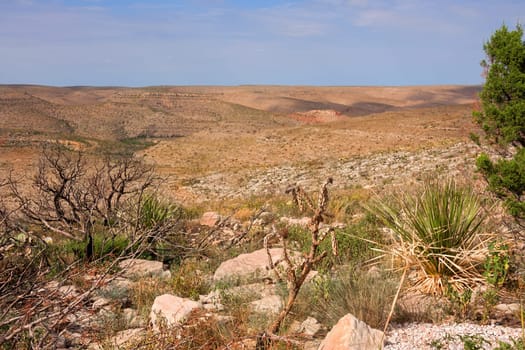Impressive and scenic landscape in New Mexico