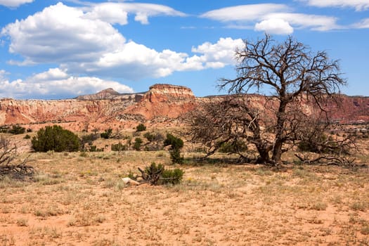 Impressive and scenic landscape in New Mexico