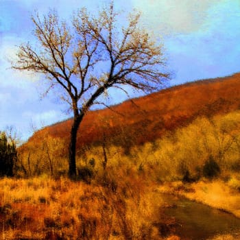 A square shot of a tree at a river
