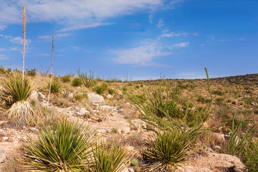 Impressive and scenic landscape in New Mexico near Carlsbad
