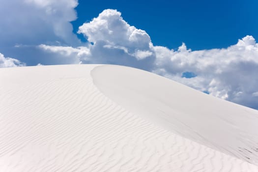 Amazing dunes of New Mexico's desert