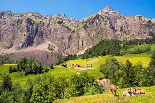 On the Pragelpass