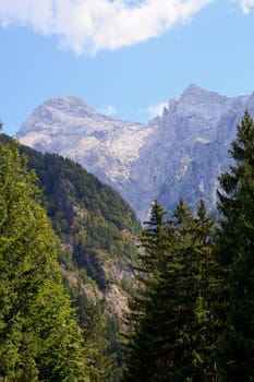 View of Slovenian Julian Alps in the summer