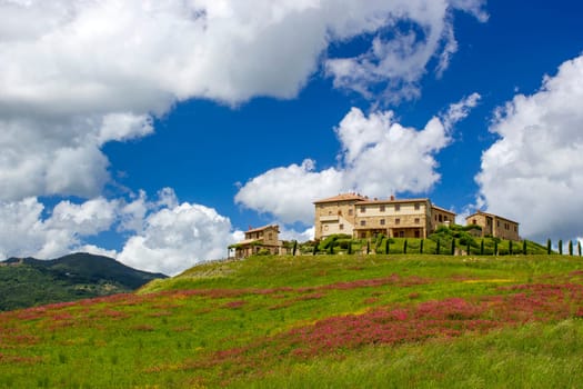 Tuscany - landscape with spring flowers, Italy