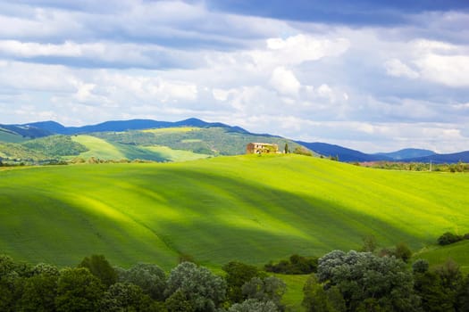 Tuscany - green typical landscape in spring time
