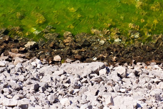 Detail of krnsko lake, Slovenia - Europe