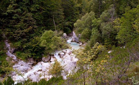 View of Slovenian Soca river in the summer