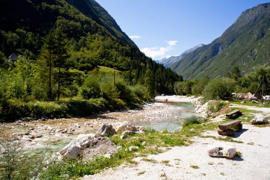 View of Slovenian Soca river in the summer