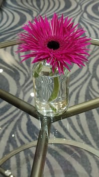 Pink flower glass gray background cute objects love Valentine day wedding design decor decorations plants . High quality photo