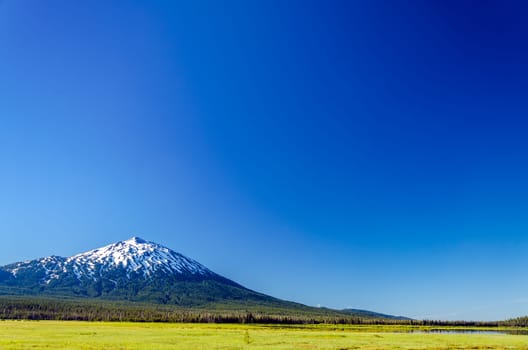 Mount Bachelor seen from a green meadow with a deep blue sky in Central Oregon