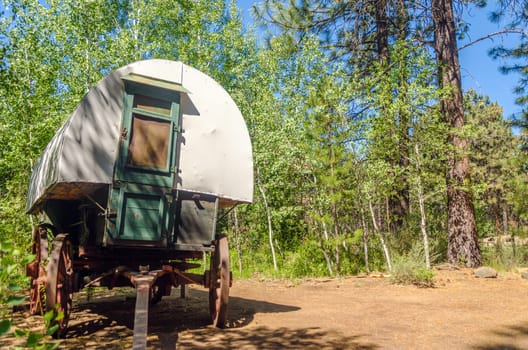 Old West style covered wagon in a forest in Central Oregon