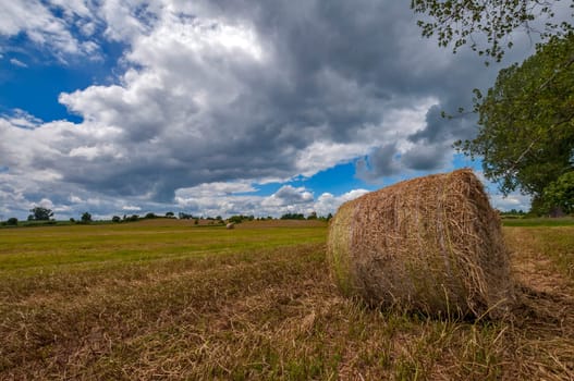 Bale of hay