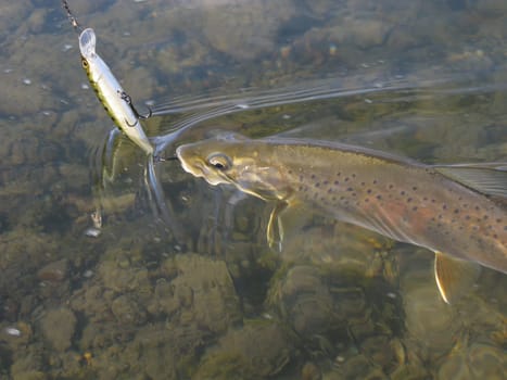 Fishing