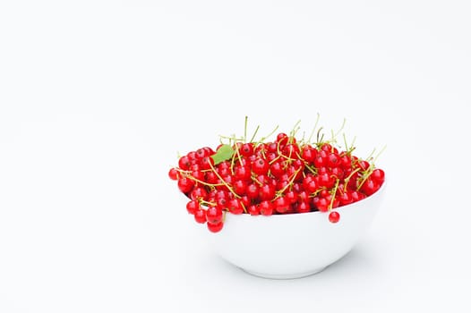 Redcurrants