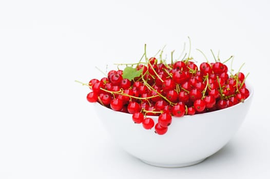 Redcurrants