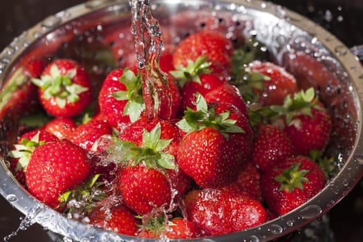 Red ripe strawberries in stainless steel Seiher are rinsed under water