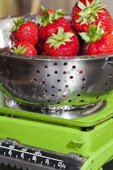 Weigh freshly harvested red strawberries on an old kitchen scale