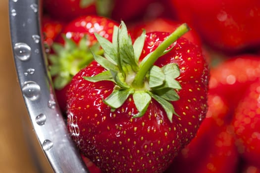 Macro shot of a freshly harvested red strawberry in a stainless steel rope with water droplets at the edge