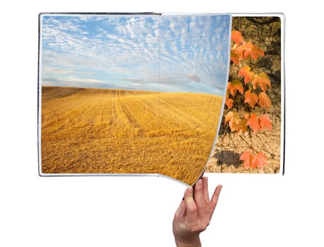 Hand through the book of seasons on white background