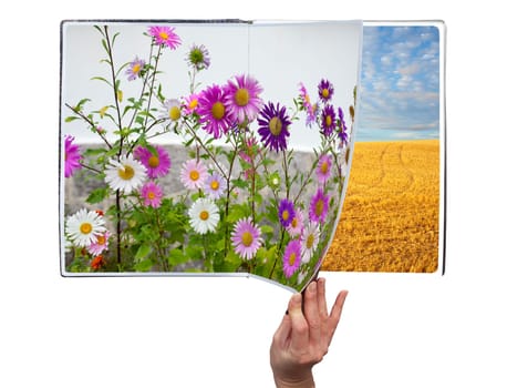 Hand through the book of seasons on white background