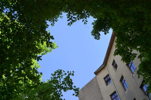 Backyard in Berlin-Kreuzberg