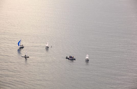 A lot of sailboats on the Trieste sea