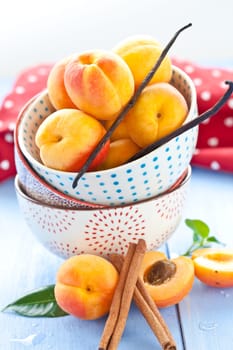 Fresh ripe apricots in a dotted Schuessel with cinnamon and vanilla