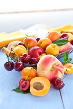 Different types of peaches,cherries and apricots in a wire body