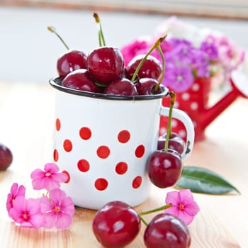Fresh cherries in a small cup with red dots